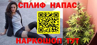 гашик Пенза