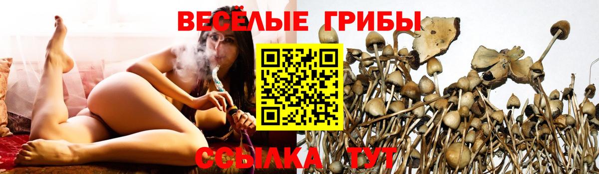 Псилоцибиновые грибы мухоморы Таганрог