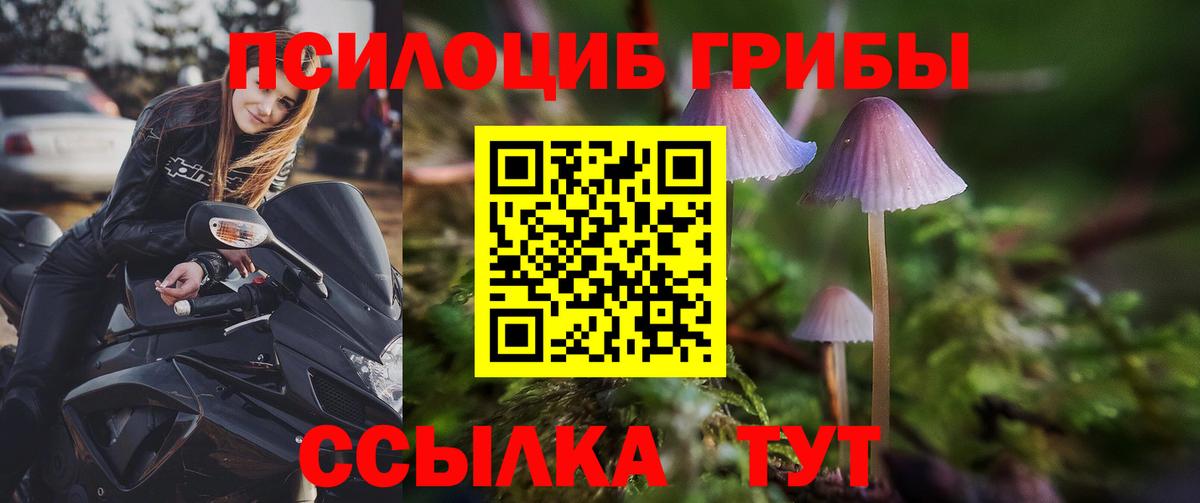 Псилоцибиновые грибы мухоморы  Галлюциногенные грибы GOLDEN TEACHER  Вход с VPN  Таганрог 